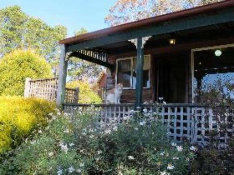 Cedar Lodge Cabins Mount Victoria Exterior foto